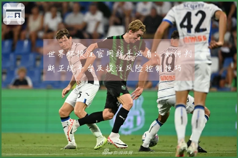 世界杯投注官网新手必看：如何判断正规平台及投注风险控制技巧