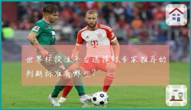 世界杯投注平台选择时专家推荐的判断标准有哪些？