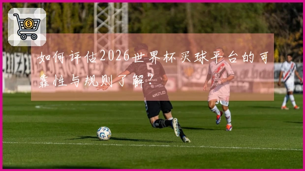 如何评估2026世界杯买球平台的可靠性与规则了解？