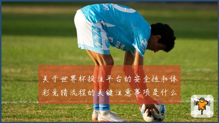 关于世界杯投注平台的安全性和体彩竞猜流程的关键注意事项是什么？