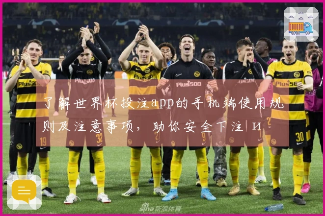 了解世界杯投注app的手机端使用规则及注意事项，助你安全下注 и