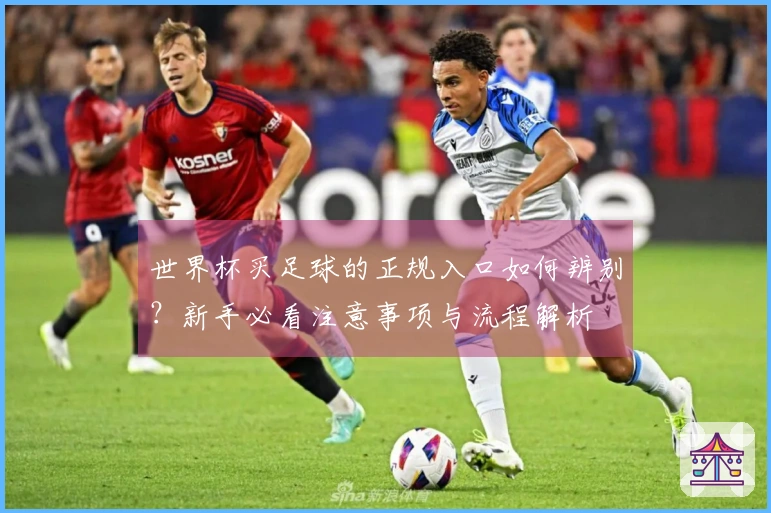 世界杯买足球的正规入口如何辨别？新手必看注意事项与流程解析