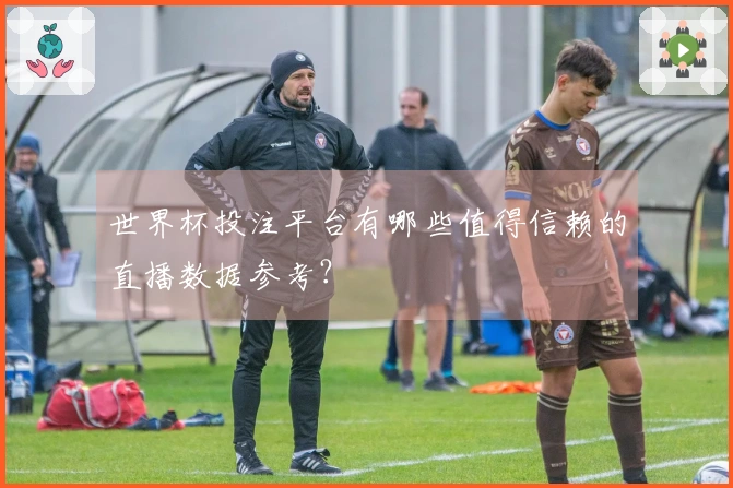 世界杯投注平台有哪些值得信赖的直播数据参考？