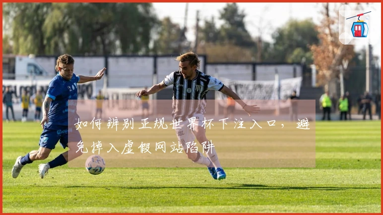 如何辨别正规世界杯下注入口，避免掉入虚假网站陷阱