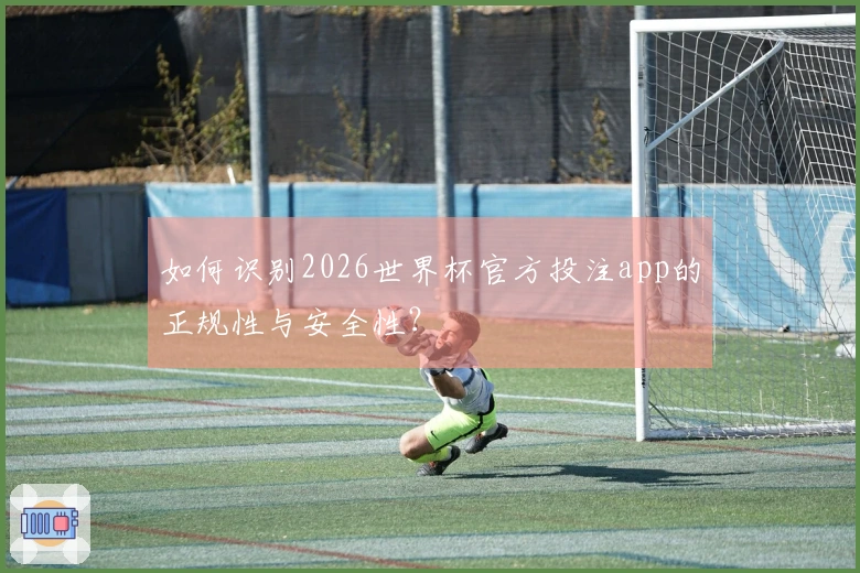如何识别2026世界杯官方投注app的正规性与安全性？