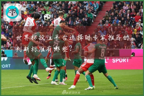 世界杯投注平台选择时专家推荐的判断标准有哪些？