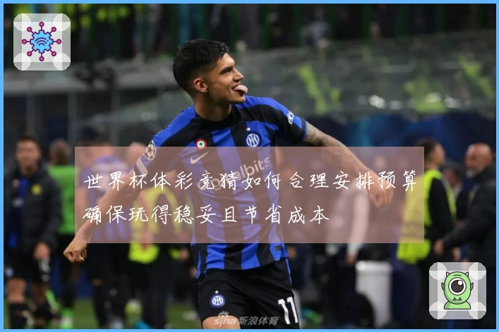 世界杯体彩竞猜如何合理安排预算确保玩得稳妥且节省成本