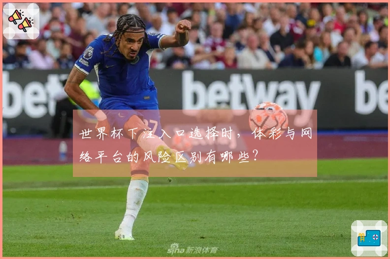 世界杯下注入口选择时，体彩与网络平台的风险区别有哪些？