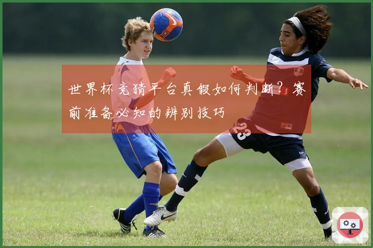 世界杯竞猜平台真假如何判断？赛前准备必知的辨别技巧