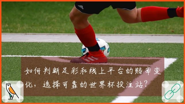 如何判断足彩和线上平台的赔率变化，选择可靠的世界杯投注站？