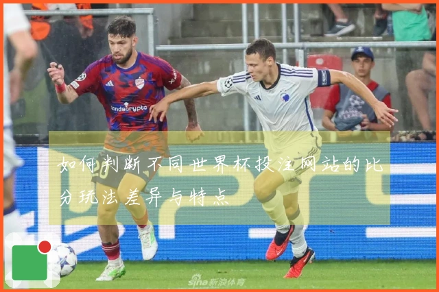 如何判断不同世界杯投注网站的比分玩法差异与特点
