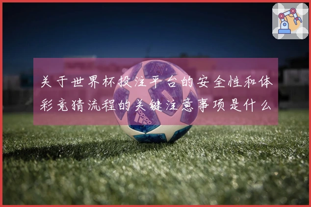 关于世界杯投注平台的安全性和体彩竞猜流程的关键注意事项是什么？