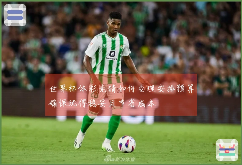 世界杯体彩竞猜如何合理安排预算确保玩得稳妥且节省成本