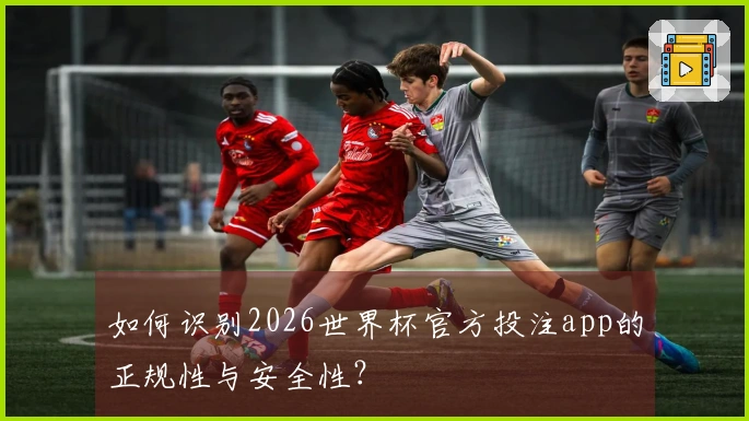 如何识别2026世界杯官方投注app的正规性与安全性？