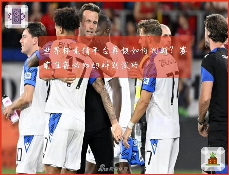 世界杯竞猜平台真假如何判断？赛前准备必知的辨别技巧