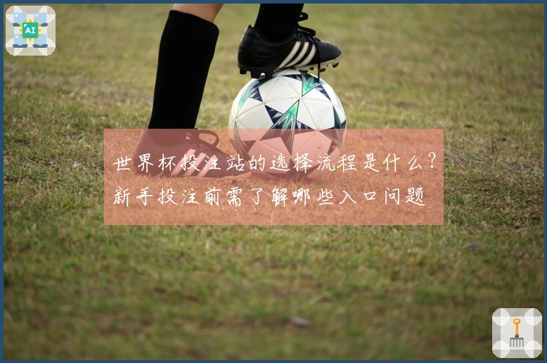 世界杯投注站的选择流程是什么？新手投注前需了解哪些入口问题