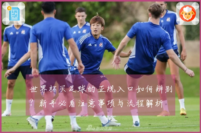 世界杯买足球的正规入口如何辨别？新手必看注意事项与流程解析
