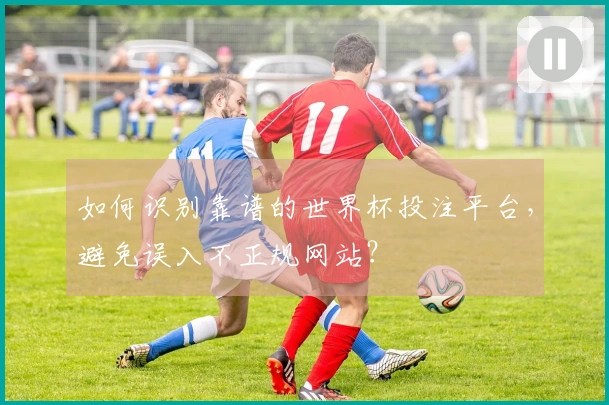 如何识别靠谱的世界杯投注平台，避免误入不正规网站？