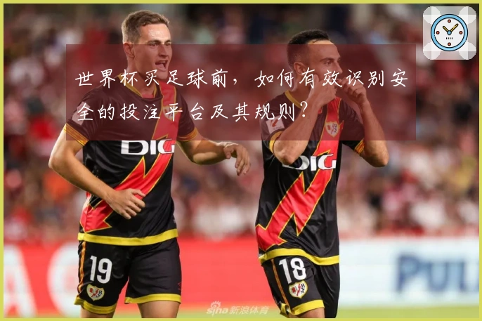 世界杯买足球前，如何有效识别安全的投注平台及其规则？
