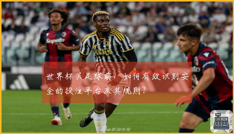 世界杯买足球前，如何有效识别安全的投注平台及其规则？