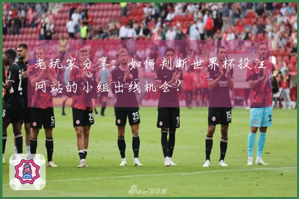 老玩家分享:如何判断世界杯投注网站的小组出线机会?